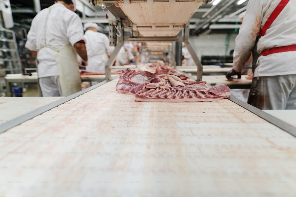 Food Safety Certification